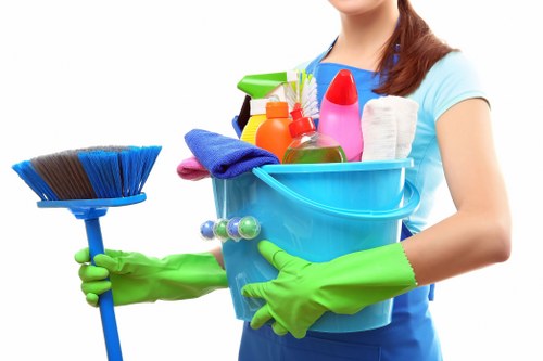 Domestic cleaner handling kitchen and bathroom cleaning in a Colliers Wood property