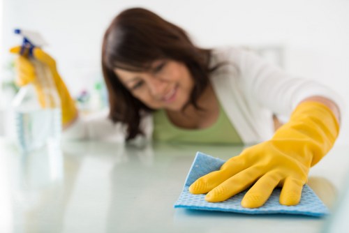 Detailed kitchen and cupboard cleaning during a move-in service