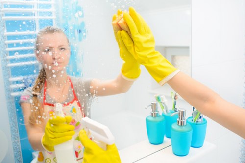 Fresh bathroom and surfaces cleaned for a new move-in