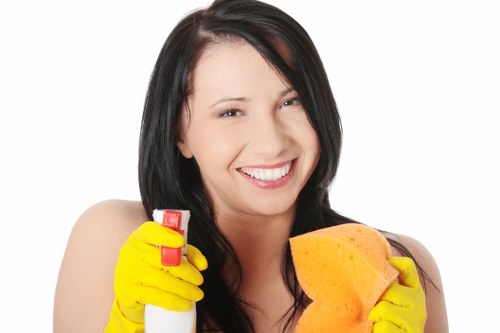 Risk assessment for carpet cleaning in a home