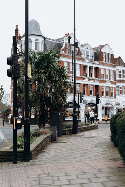 A view of a street in Colliers Wood featuring a row of multi-story Victorian and Edwardian-style buildings with brick facades, large windows, and decorative white trim. The foreground shows a paved sidewalk lined with black metal posts and a small landscaped area containing a palm tree. The street is equipped with traffic signals and street lighting, with a few pedestrians visible in the distance. The scene is captured in natural daylight, highlighting the clean and well-maintained surfaces of the buildings and pavements, reflecting a tidy urban environment. This image relates to the services provided by Carpet Cleaning Colliers Wood, emphasizing the importance of surface cleaning and maintenance in commercial and residential premises on Colliers Wood High Street.